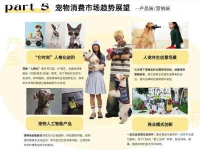 2026年宠物行业洞察