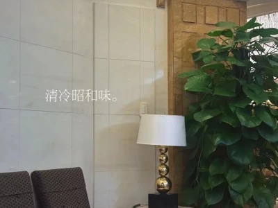 中女迷人，因为少年人反在她们身上看到青春。