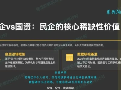 AI研报83:民企vs国资,民营企业的稀缺性价值