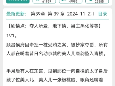 妖艳娇媚心机女主言情文|小说推荐