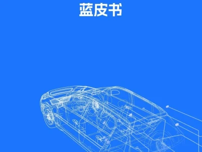 【研报-4891】2025智能网联汽车内生安全技术蓝皮书