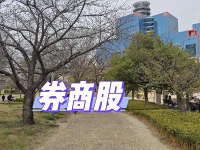 券商的大逻辑