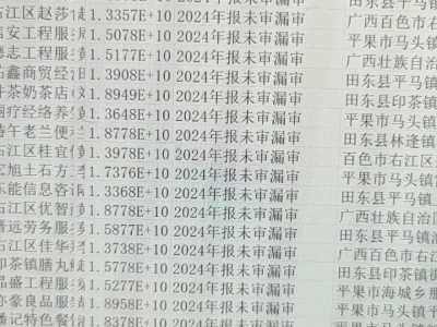 24年25年最新企业年报数据2024年未审,年报