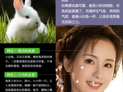 你觉得哪个更好看呢?