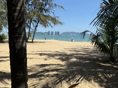 🐋✨海边度假日记🥥🏖