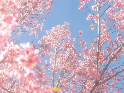 治愈系动态背景图/平板/电脑动态壁纸