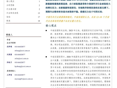 【研报-5008】中国汽车行业展望,2026年2月