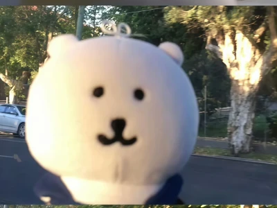 Share🦋ins风壁纸