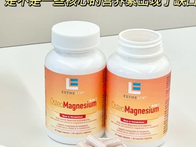 能量低体感差，我学到的一些身体功课📚