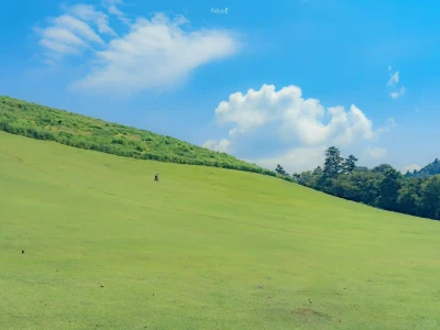 iPad壁纸来噜