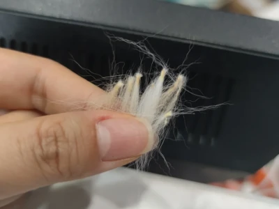 痘痘肌小兔子
