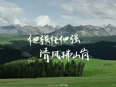文字版iPad电脑壁纸!!