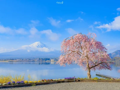 电脑❤️平板❤️壁纸