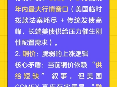 26.02.17 研报类|2026年度投资策略:枪炮与黄油
