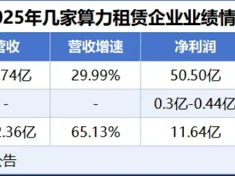 研报客:算力租赁第一股,踹开AI的大门!