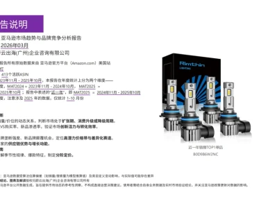 雾灯美国市场年度研报