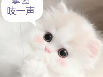 仙气飘飘的温柔女头