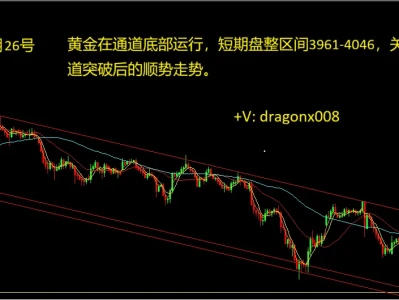 森林有话说 6月26号 黄金研报