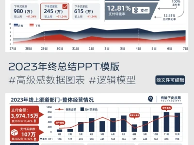 太牛啦❗️原来PPT可视化分析这么高级