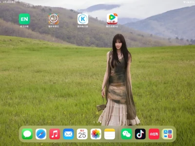 好喜欢我的iPad壁纸！！！