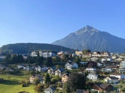 由瑞士医药巨头联想到的中国创新药发展