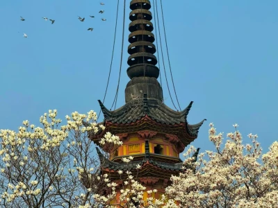 生命是一万次的春和景明