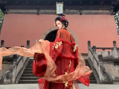 “误入眉眼,可叹惊鸿”