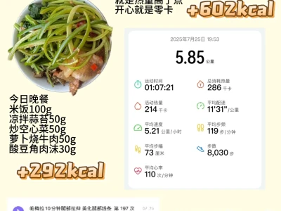7.25一日卡路里账单