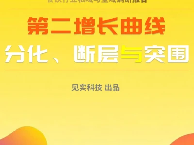 见实科技十大行业调研报告，私域付费查看