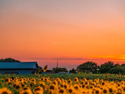 夏日风景高清壁纸分享