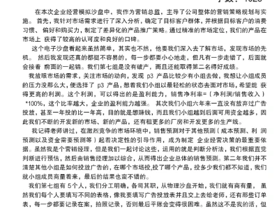 ERP沙盘模拟实训总结报告(营销总监)