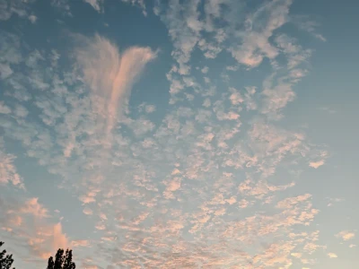 荣姐十月重点关注方向，来了