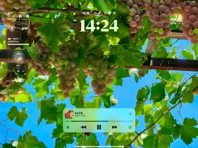 5.13iPad花海壁纸