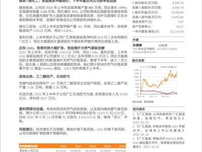 天风研报 | 2022 年中报点评:展现量价弹性,关注马朗进度