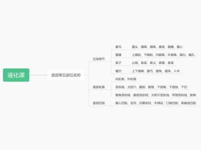 学习修图六十天｜液化篇｜面部名称