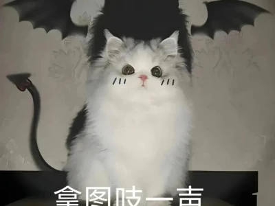 今天是粉色的小相机女孩🎀
