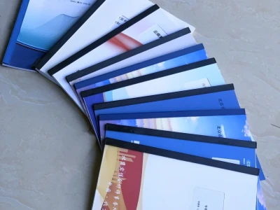 📄审计报告：了解公司真实情况的关键