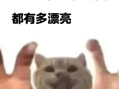 想看看方圆脸的人有多漂亮!