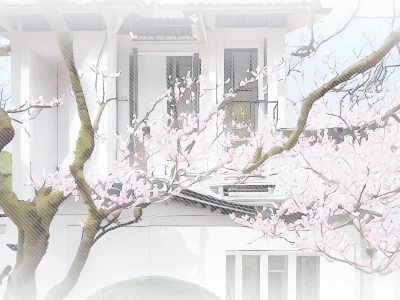 一组冷淡系浅色壁纸⊹.✮₊⋆