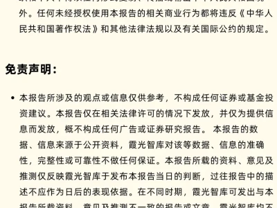 2025 中东区域国别可进入性报告