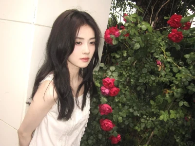 白鹿🦋|横屏壁纸