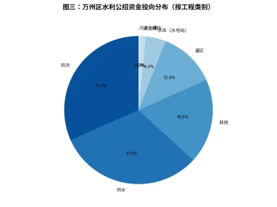 深度研报:万州区水利基建市场透视与资金谋划战略报告
