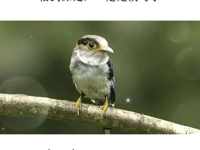 近期研报覆盖标的几乎全线起飞……