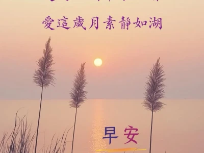 日安吉祥如意