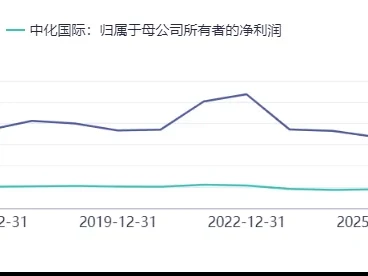 中化国际600500深度研报