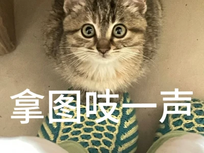 有你 不觉得别人好 因为你最好