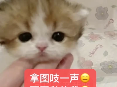 超好看的风景文字治愈系iPad电脑壁纸