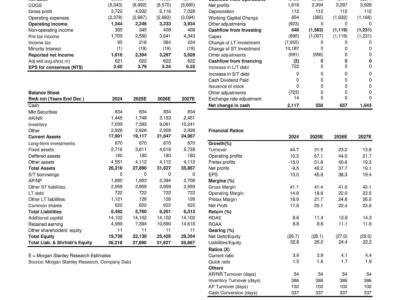大摩研判：国产半导体设备要起飞了？