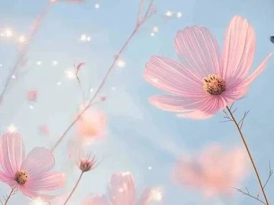 一眼万年的花花壁纸🌸