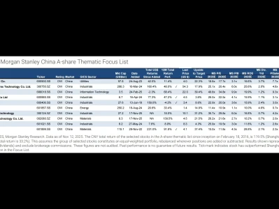 摩根士丹利2026年A股展望：告别狂飙，进入